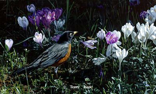 Terry Isaac Signs Of Spring