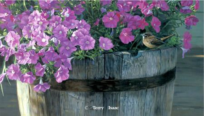 Terry Isaac Southern Comfort