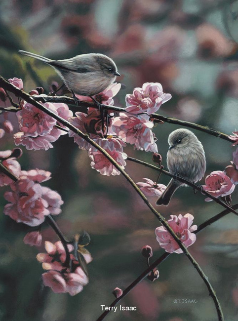 Terry Isaac Spring Song