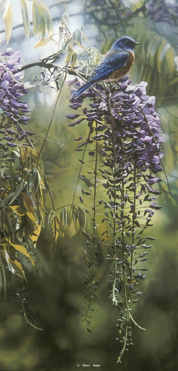 Terry Isaac Springtime Blues