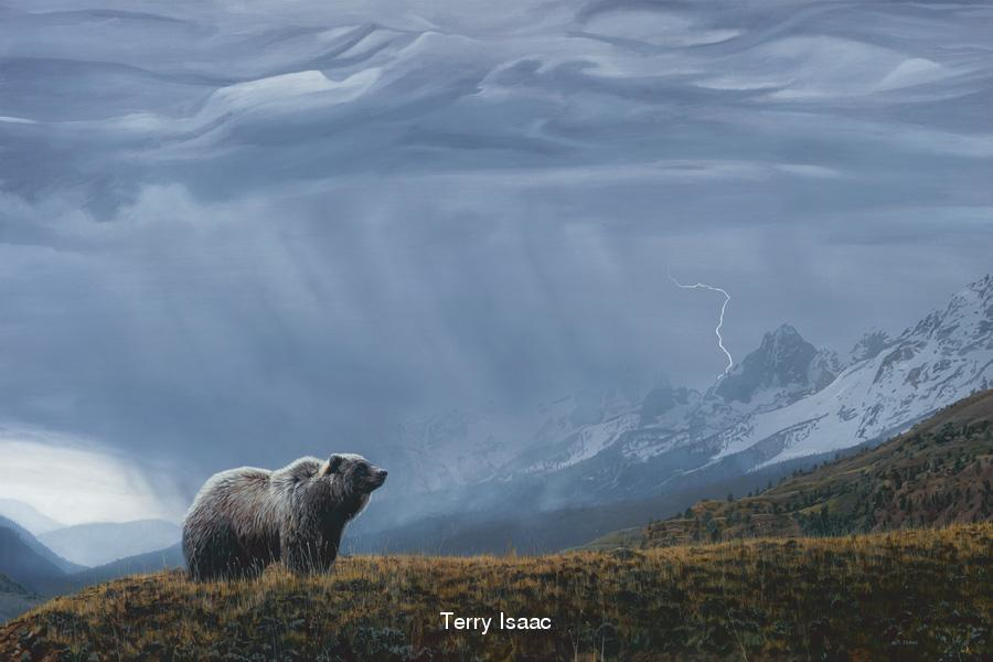 Terry Isaac Stormwatch Grizzly Bear