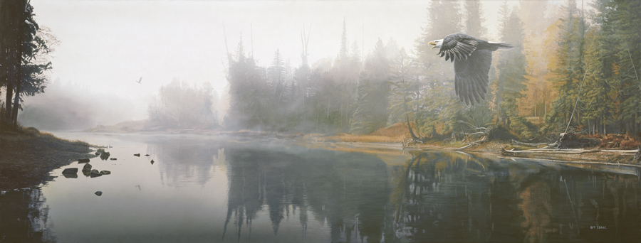 Terry Isaac Call Of Autumn Bald eagle