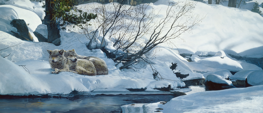 Terry Isaac Good Place Wolves