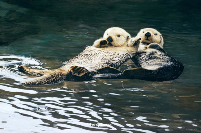 Terry Isaac Togetherness Sea Otters