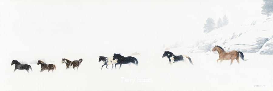 Terry Isaac Winter Run