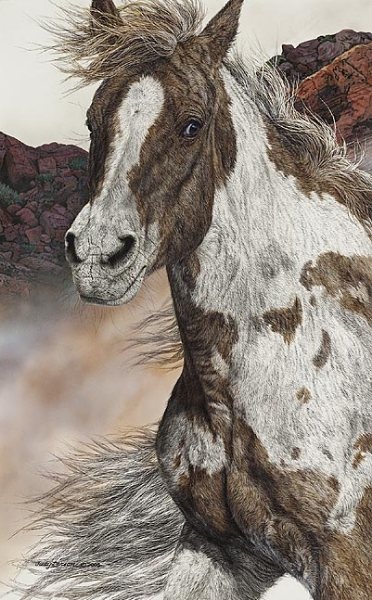 Judy Larson Air And Escape