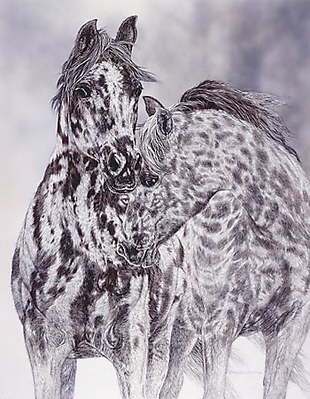 Judy Larson A Time To Heal 