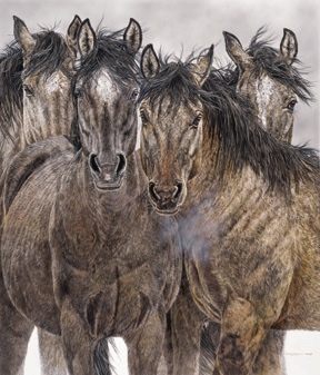 Judy Larson Pryor Commitment 