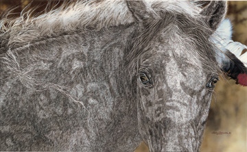 Judy Larson Red Horse