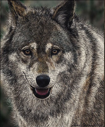 Judy Larson Stayin' Alive