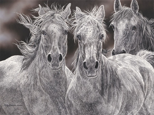 Judy Larson The Fugitives