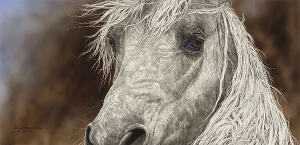 Judy Larson The Gift