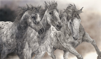 Judy Larson The Protesters