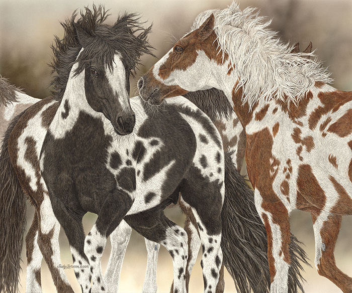 Judy Larson Boys to Men