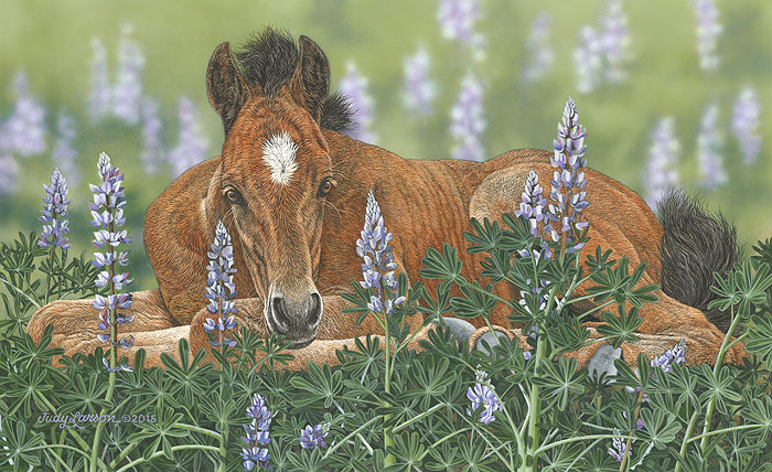 Judy Larson Lounging In The Lupines