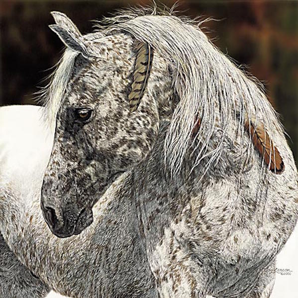 Judy Larson Medicine Crow