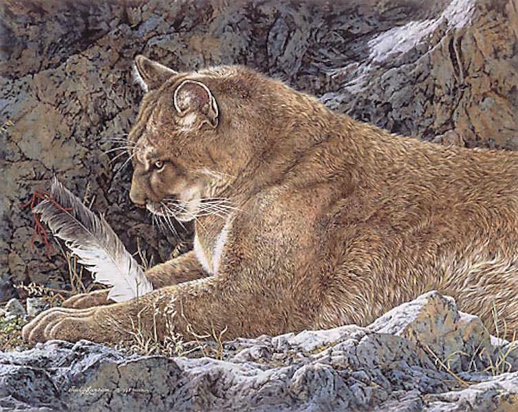 Judy Larson Paws and Reflect