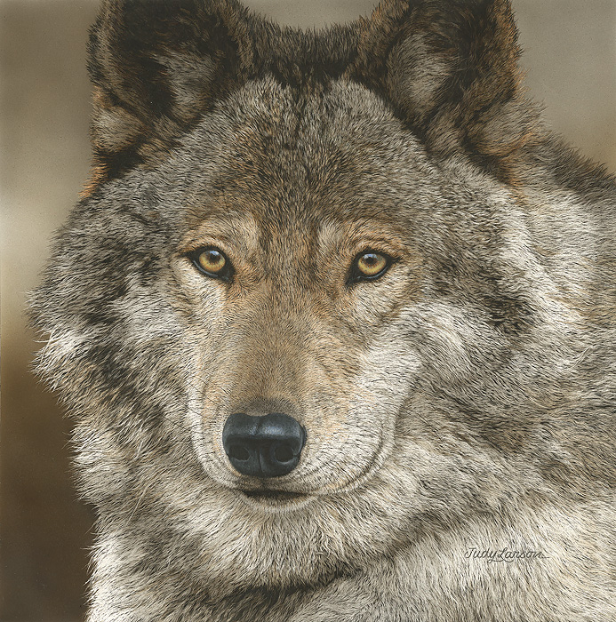 Judy Larson The Peacemaker