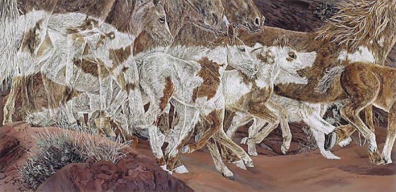 Judy Larson Three Wolves