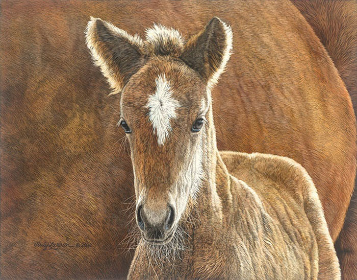 Judy Larson Wild In The Country