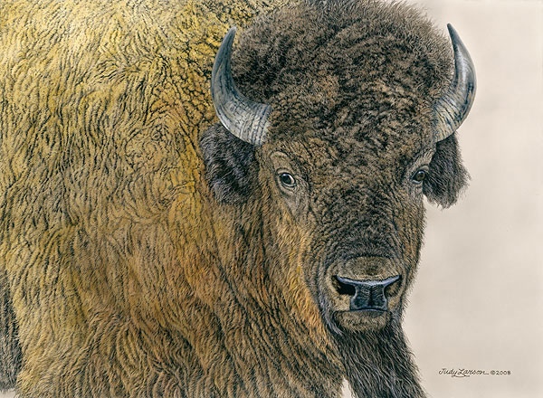 Judy Larson Slow Bull