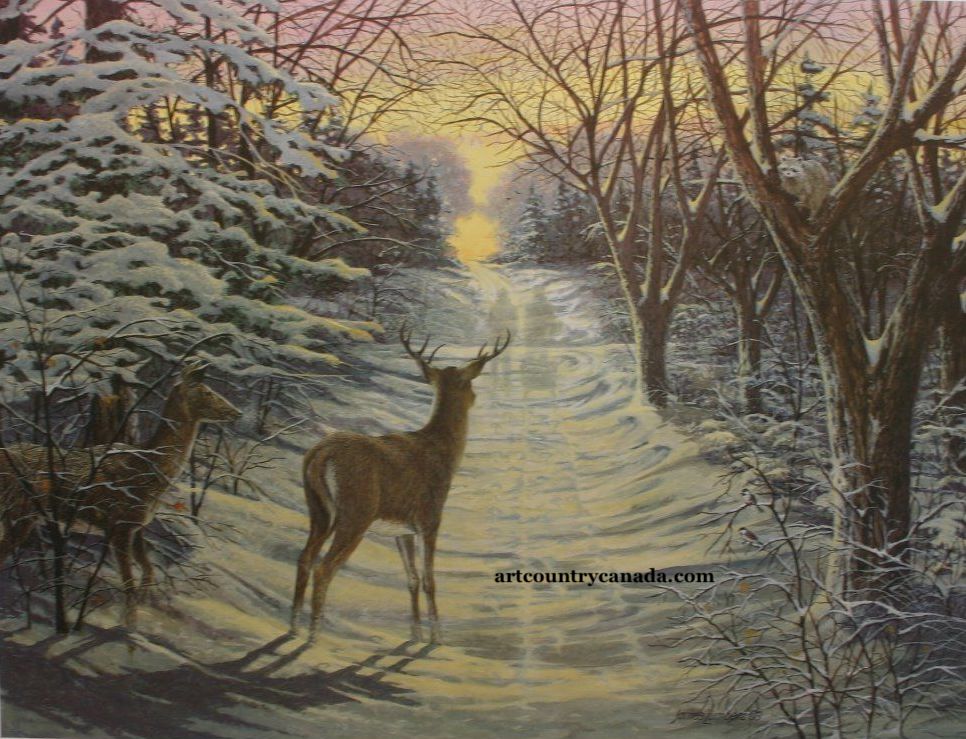 James Lumbers Winter Solstice