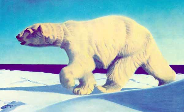 Fred Machetanz Nanook Polar Bear
