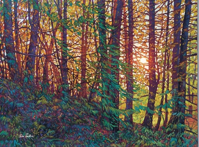 Tim Packer Tangled Forest
