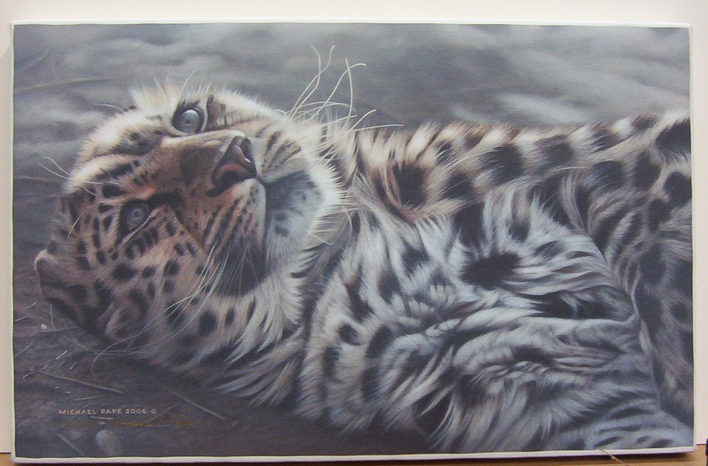 Michael Pape Amur Leopard