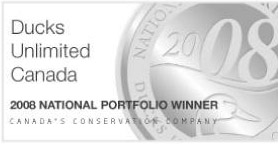 Michael pape Throug The Storm Bald Eagle