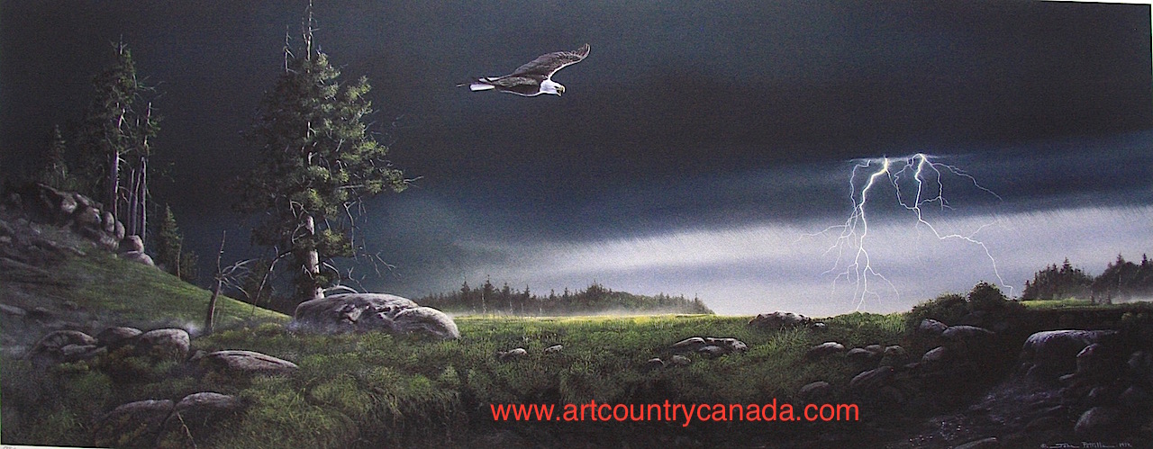 John Petrella Distant Storm