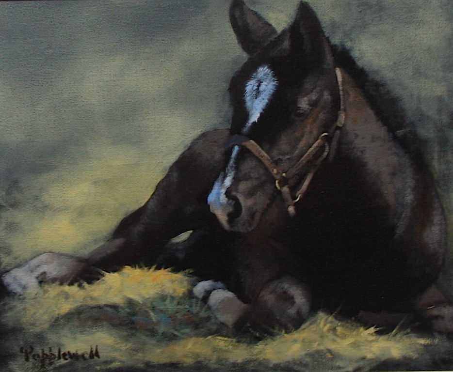 Judie Popplewell Soft Place