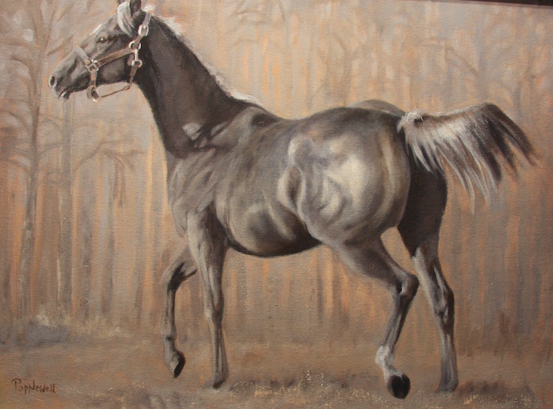 Judie Popplewell Gray Power