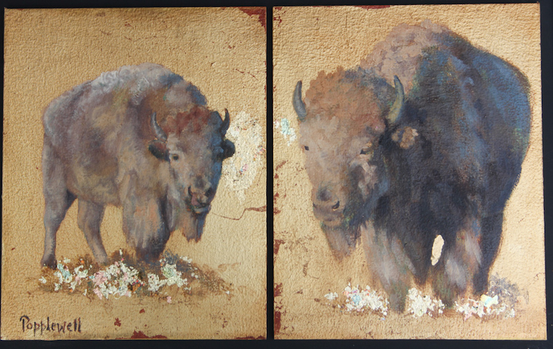 Judie Popplewell Sacred