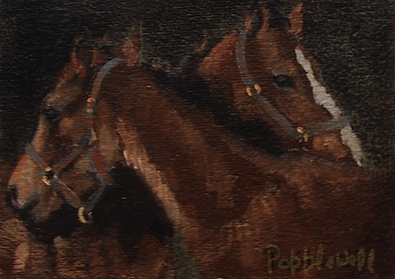 Judie Popplewell Scratches