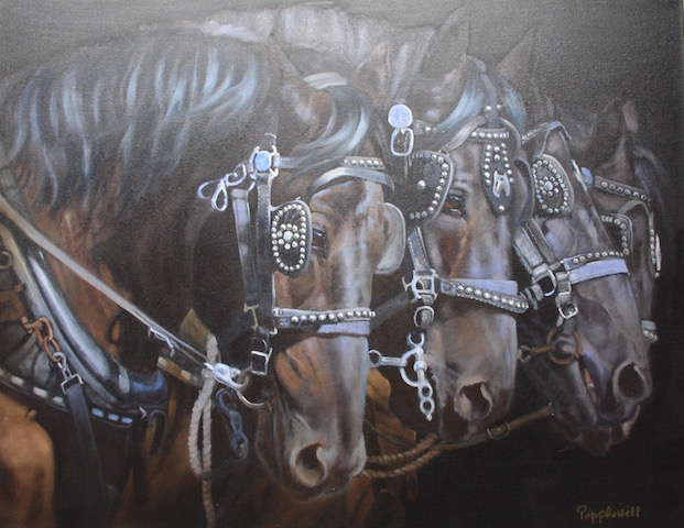 Judie Popplewell Team Focus