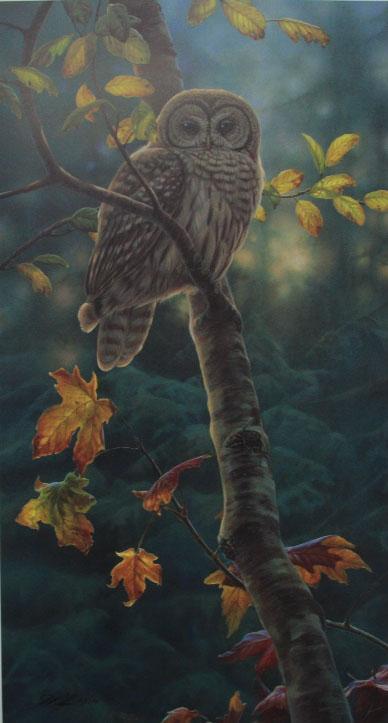 Luke Raffin Autumn Sunrise