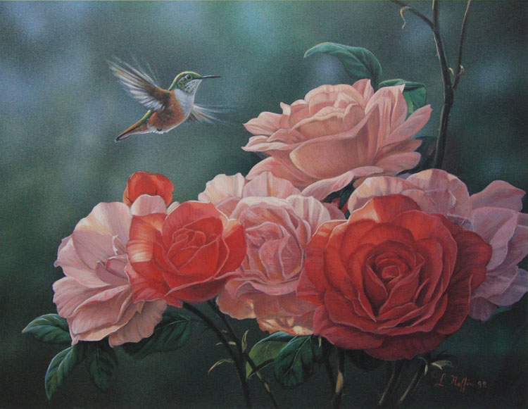 Luke Raffin Coree's Roses