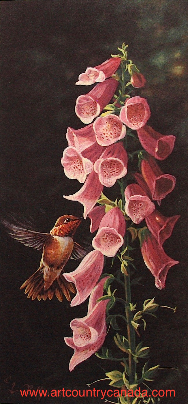 luke raffin summer whispers