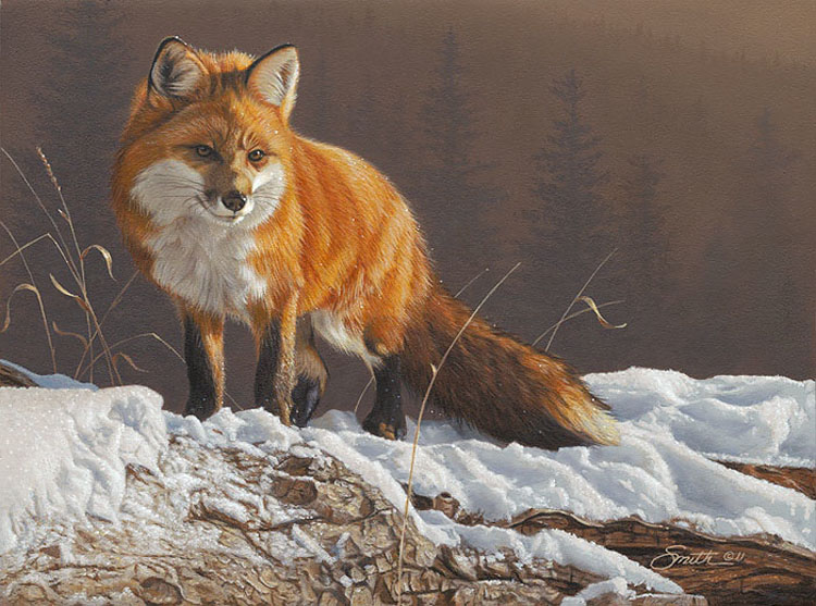 Daniel Smith Radiant Red Fox 