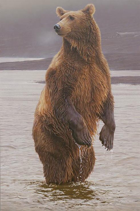 Daniel Smith Rising Expectations Grizzly Bear