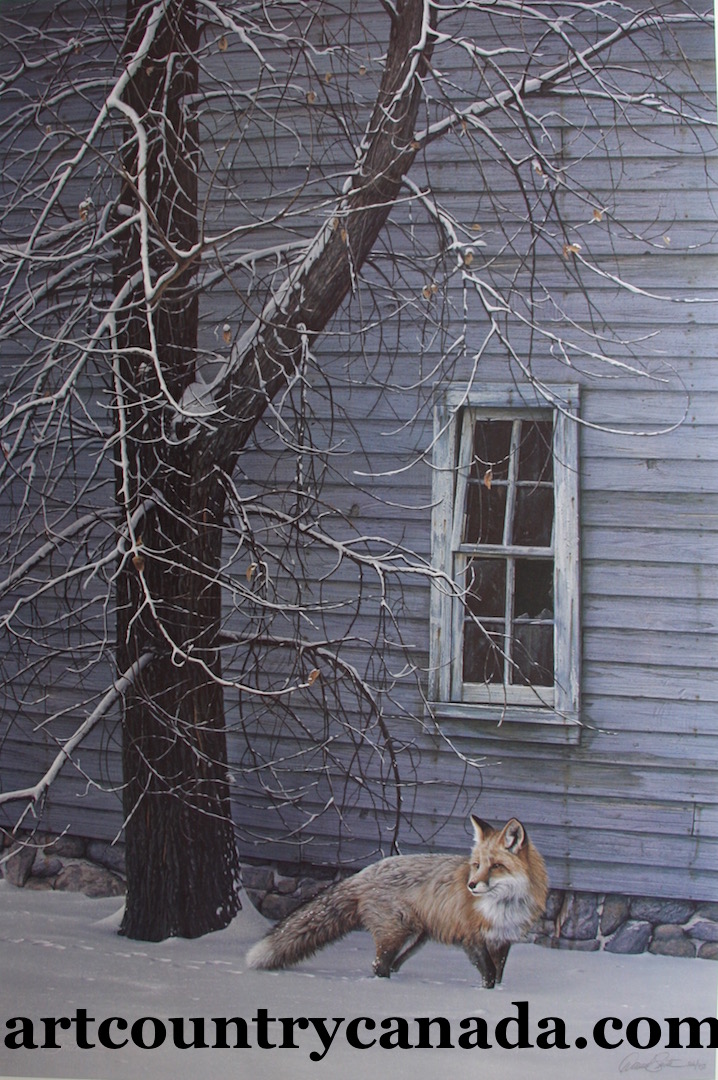 Daniel Smith Silent Footsteps