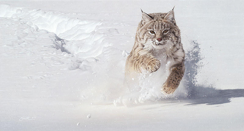 Daniel Smith Snowblower