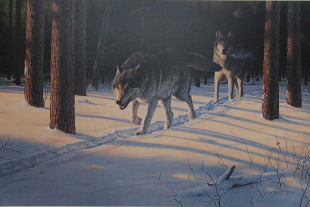 Daniel Smith Evening Quest Timber Wolves