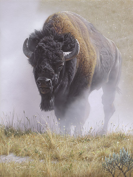 Daniel Smith Out of The Dust Bison