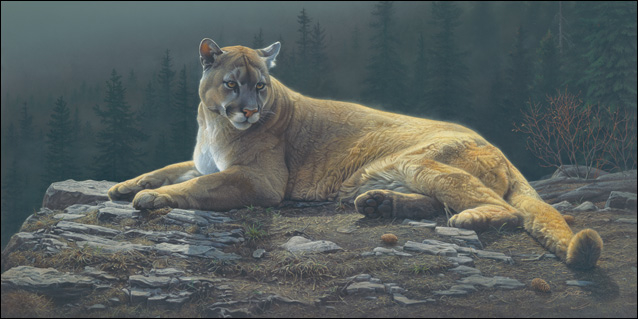 Daniel Smith Radiant Repose Cougar