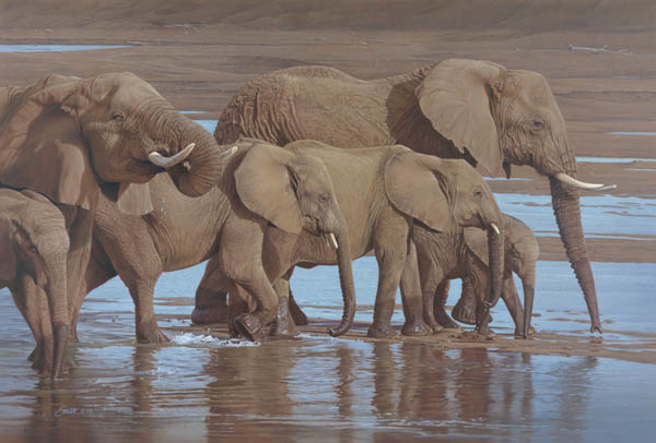 Daniel Smith Riverbank procession Elephants