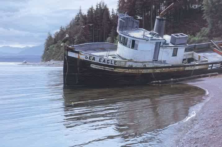 Daniel Smith Sea Eagle
