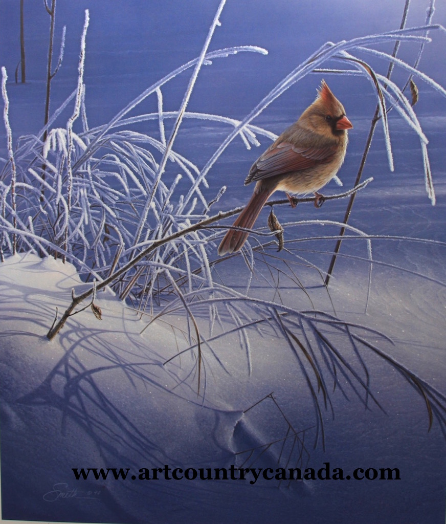 Daniel Smith Snow Song Cardinal