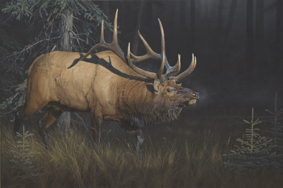 Daniel Smith Sun Struck Elk
